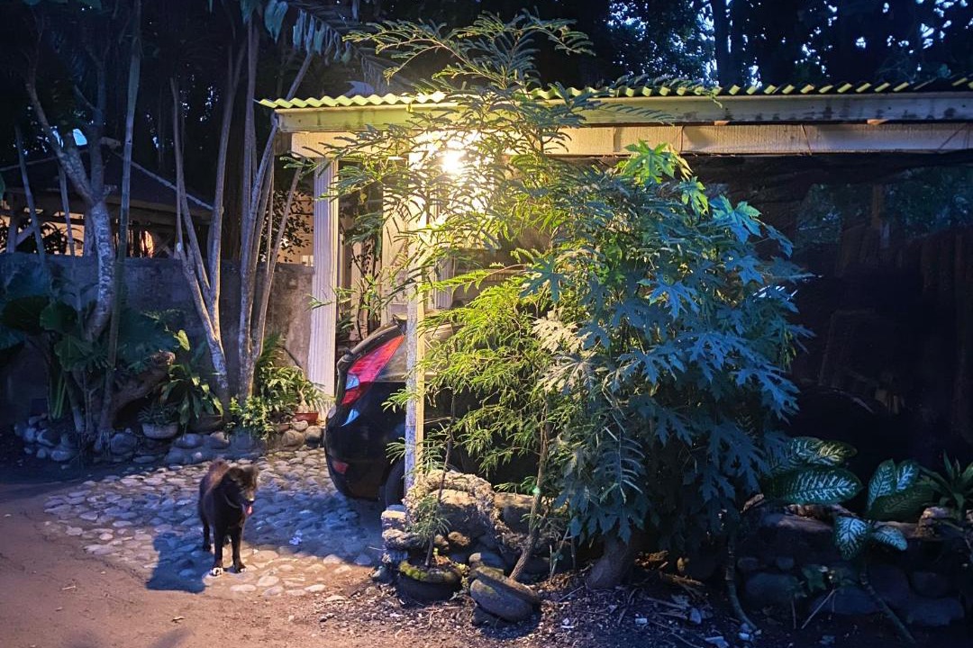 Photo of Others in Sanur Kauh