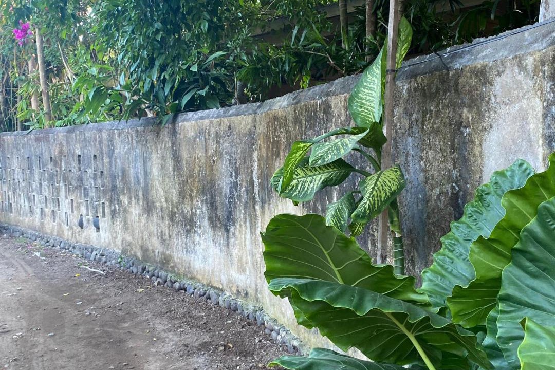 Photo of Others in Sanur Kauh