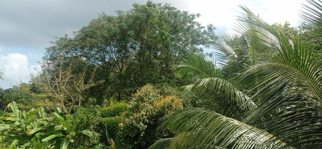 Photo of Others in Mahe Island