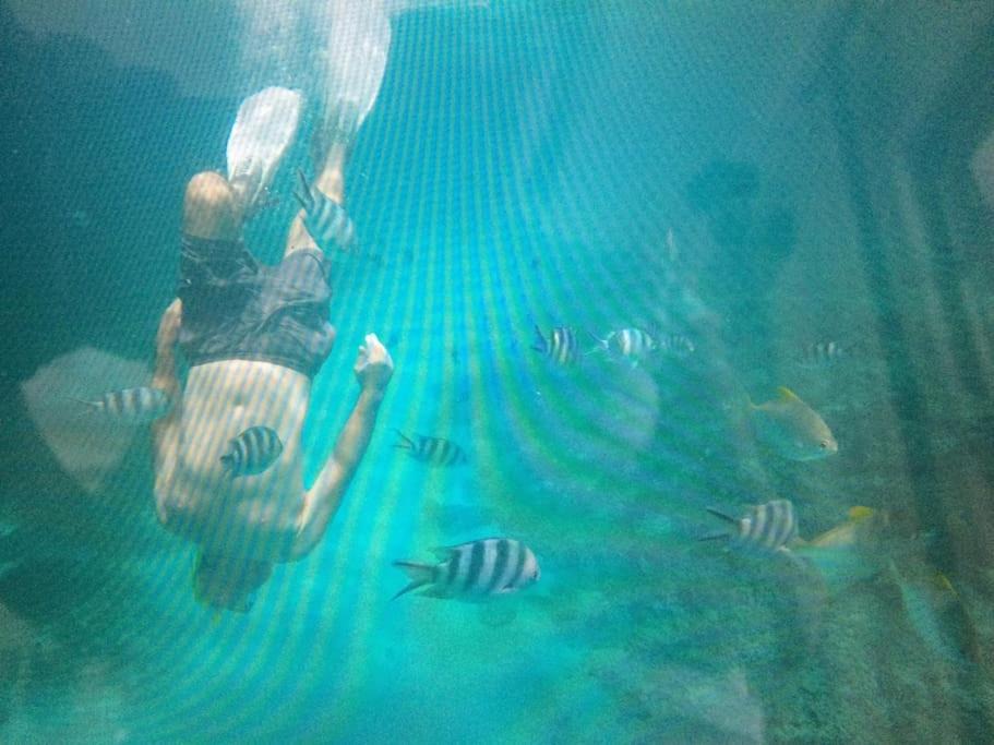 Photo of Others in Eden Island
