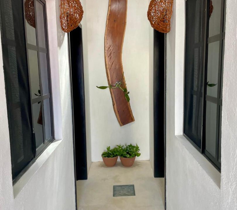 Photo of Others in Downtown Holbox