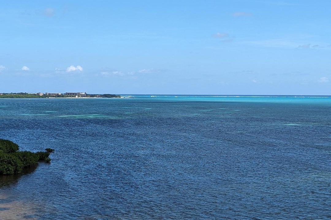 Photo of Others in Cancun