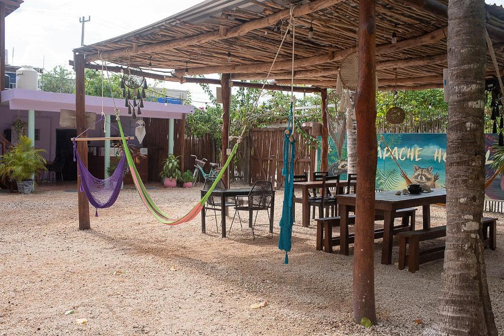 Photo of Others in Isla Holbox