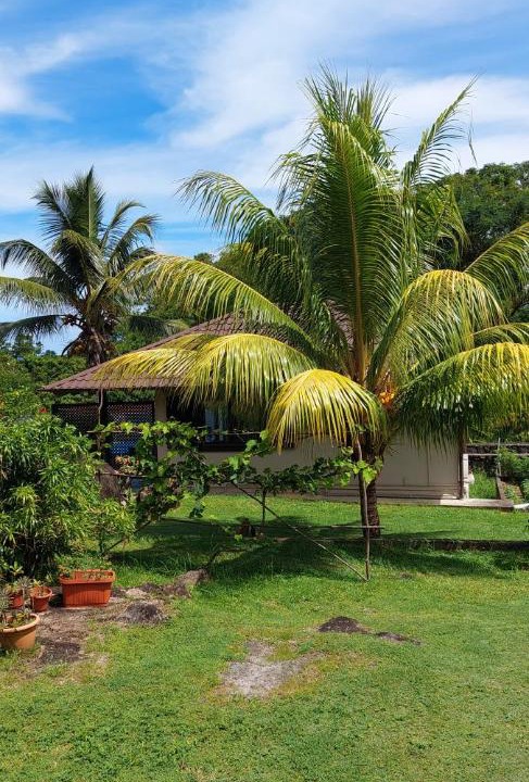 Photo of Outdoor in Mahe Island