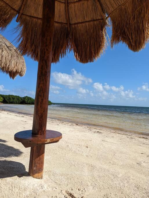 Photo of Others in Cancun