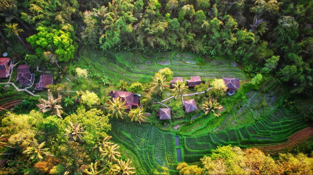 Photo of Others in Wongaya Gede