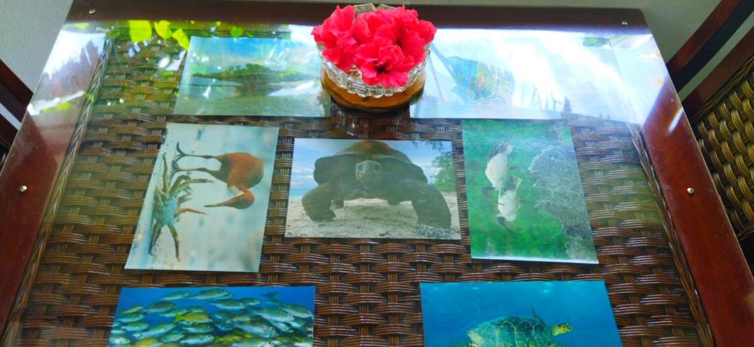 Photo of Others in La Digue