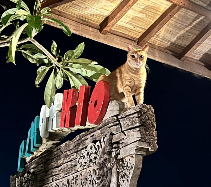 Photo of Others in Bukit