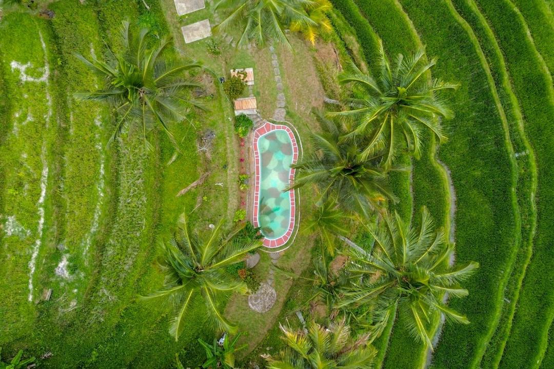 Photo of Others in Wongaya Gede