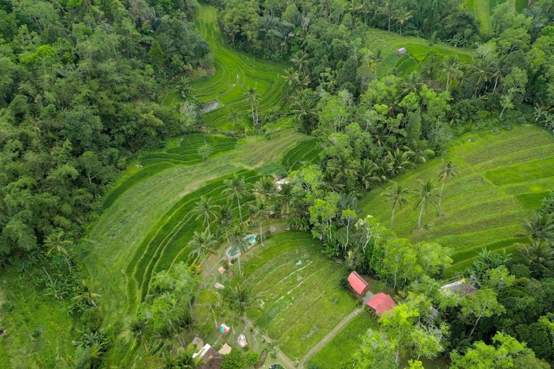 Photo of Others in Wongaya Gede