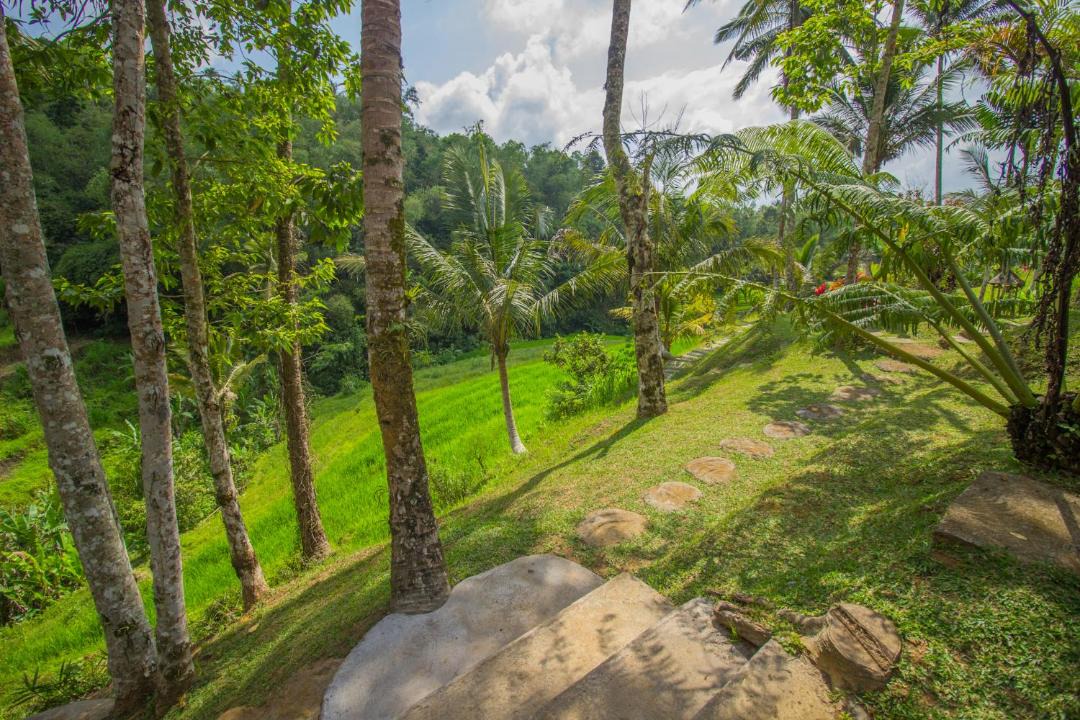 Photo of Others in Wongaya Gede