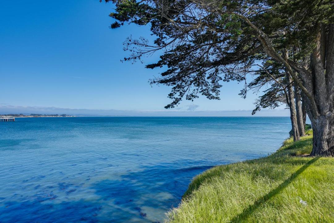 Photo of Outdoor in Westside Santa Cruz