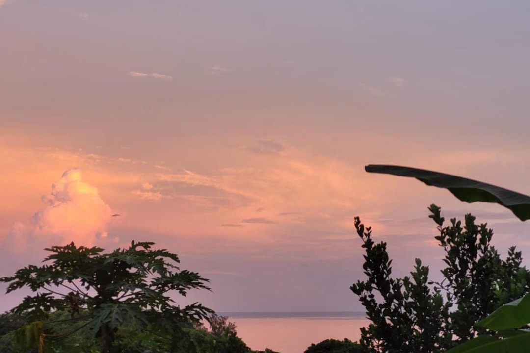 Photo of Outdoor in Anse Forbans