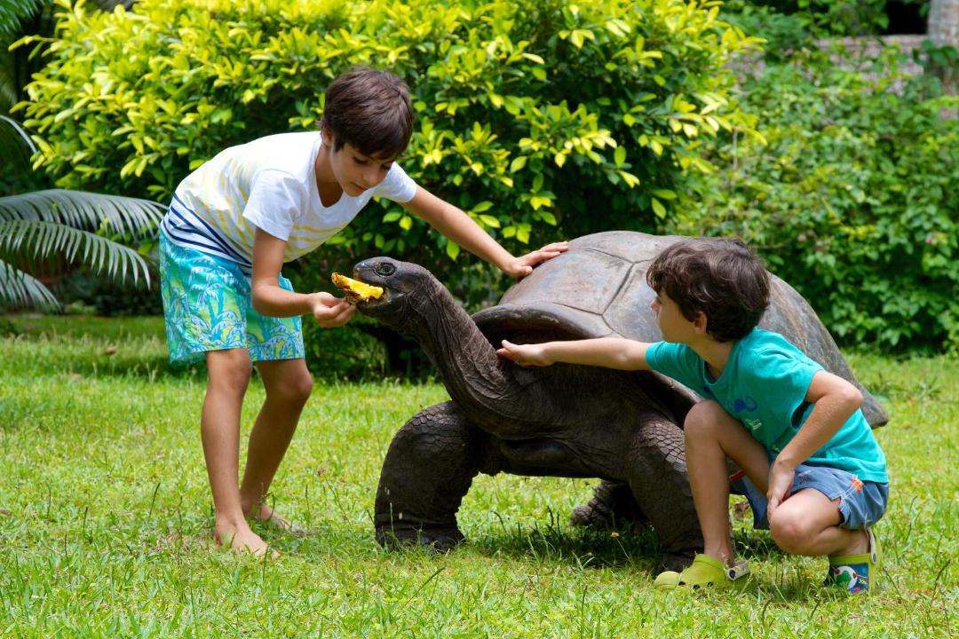 Photo of Others in Praslin Island
