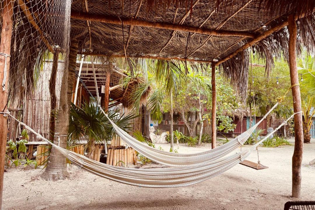 Photo of Others in Isla Holbox