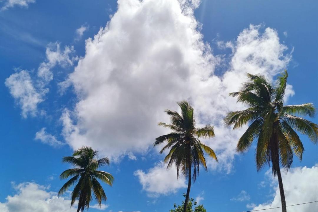 Photo of Outdoor in La Digue