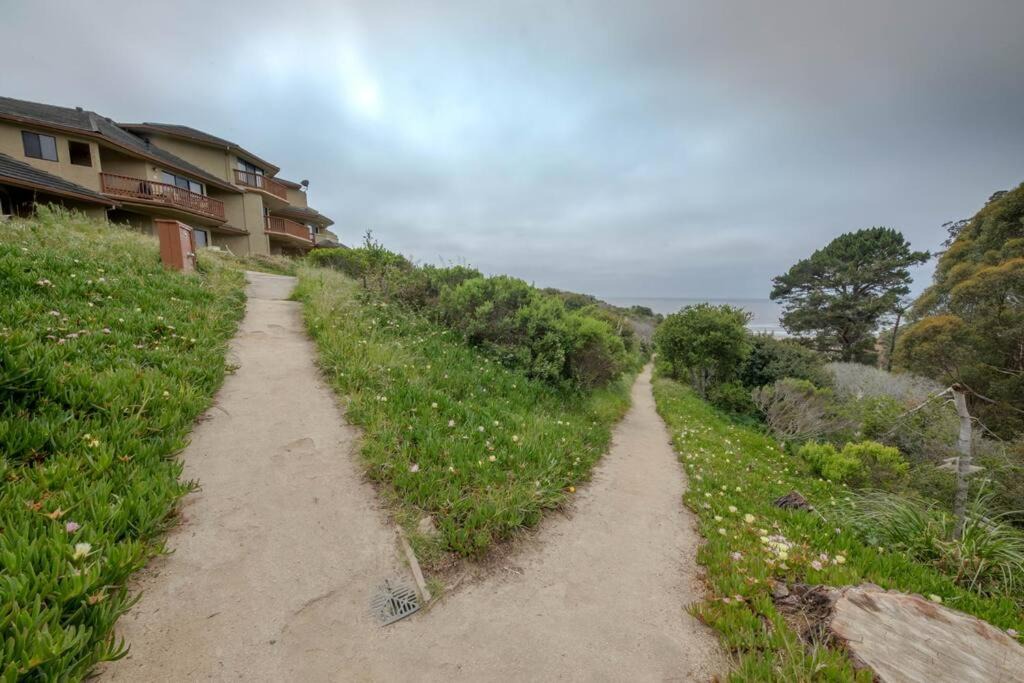 Photo of Others in Rio del Mar