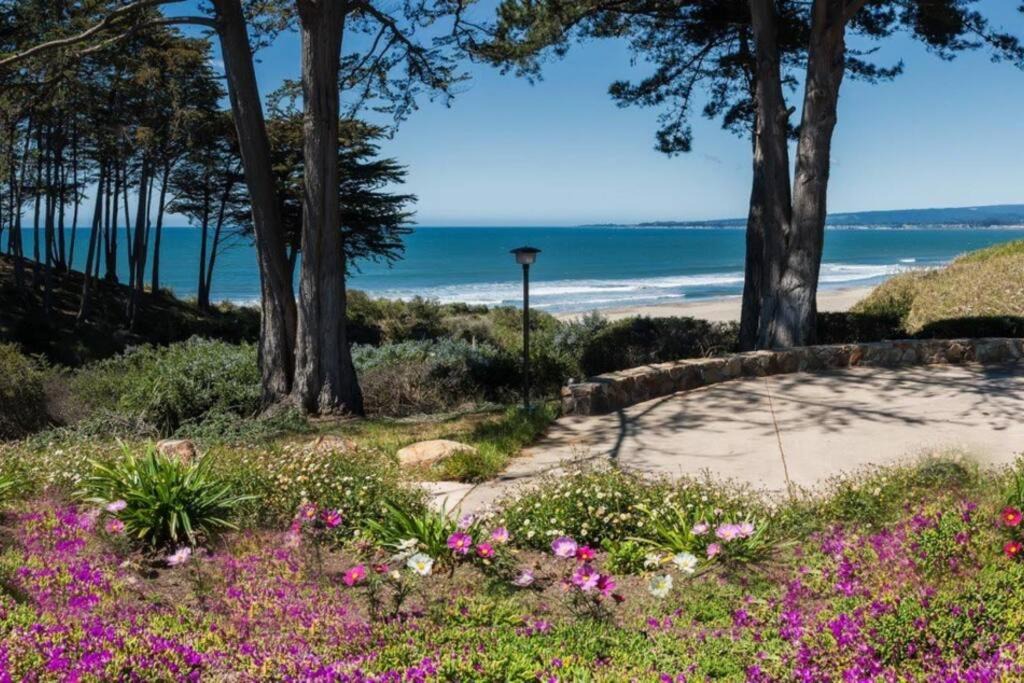 Photo of Others in Rio del Mar