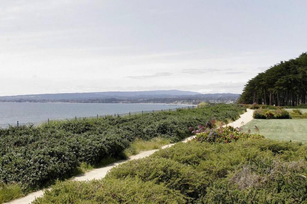 Photo of Others in Rio del Mar