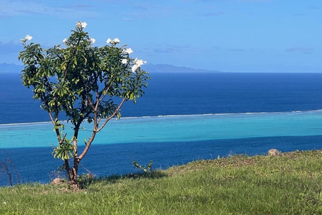 Photo of Outdoor in Teahupoo