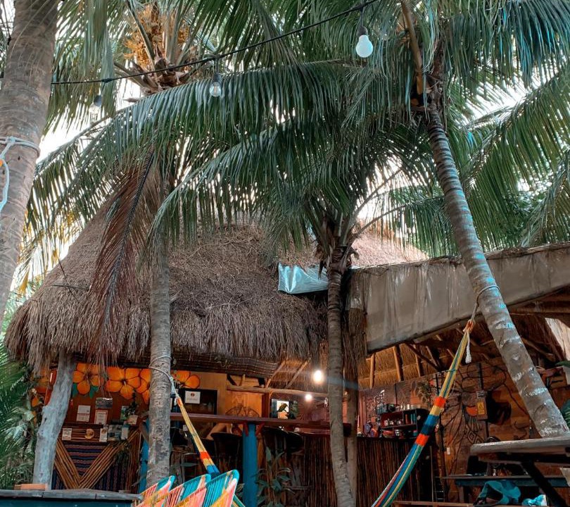 Photo of Others in Downtown Holbox