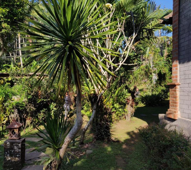 Photo of Others in Wongaya Gede