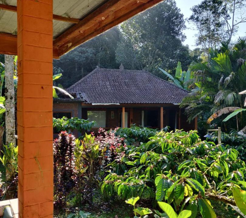 Photo of Others in Wongaya Gede