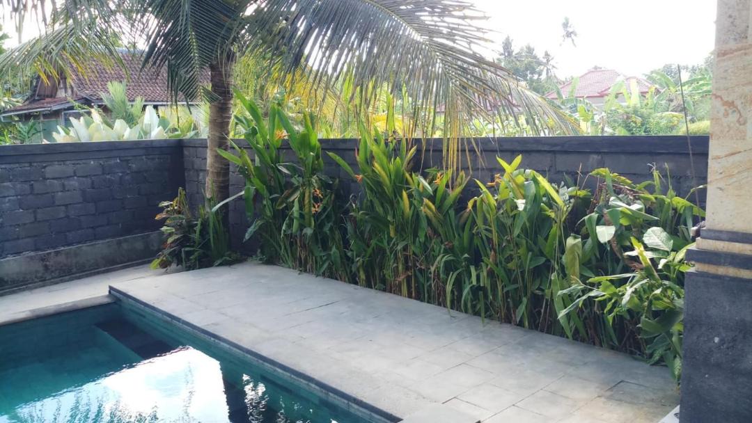 Photo of Others in Ubud