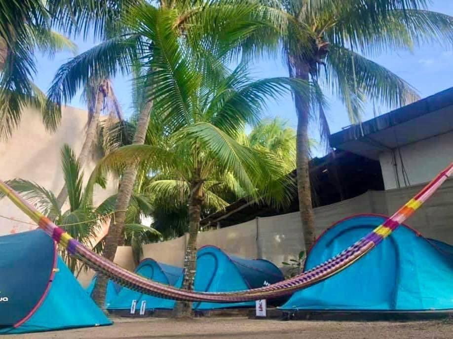 Photo of Others in Downtown Holbox