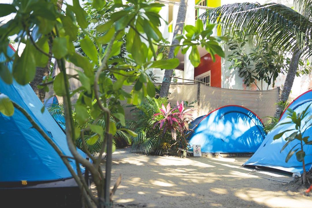Photo of Others in Downtown Holbox
