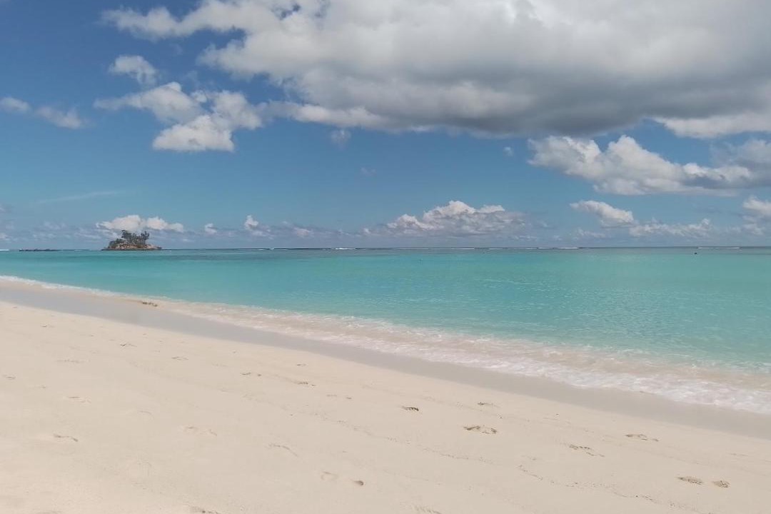 Photo of Others in Anse Royale