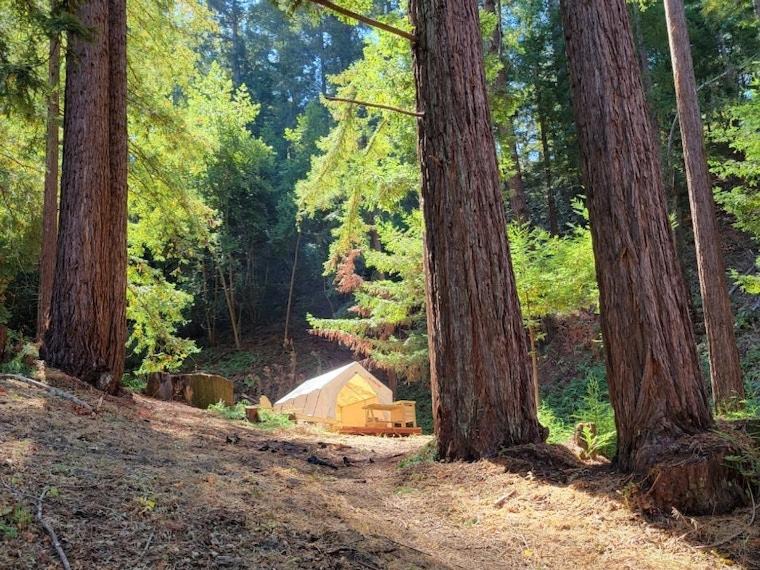 Photo of Others in Soquel
