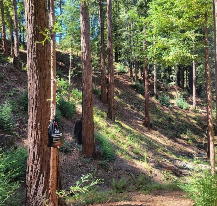 Photo of Others in Soquel