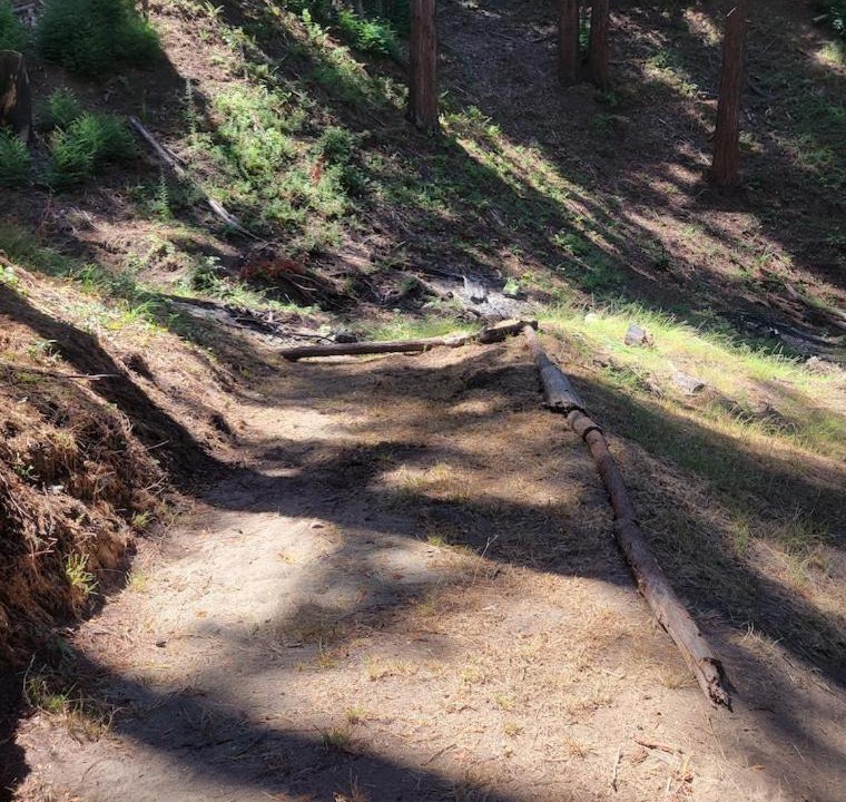 Photo of Outdoor in Soquel
