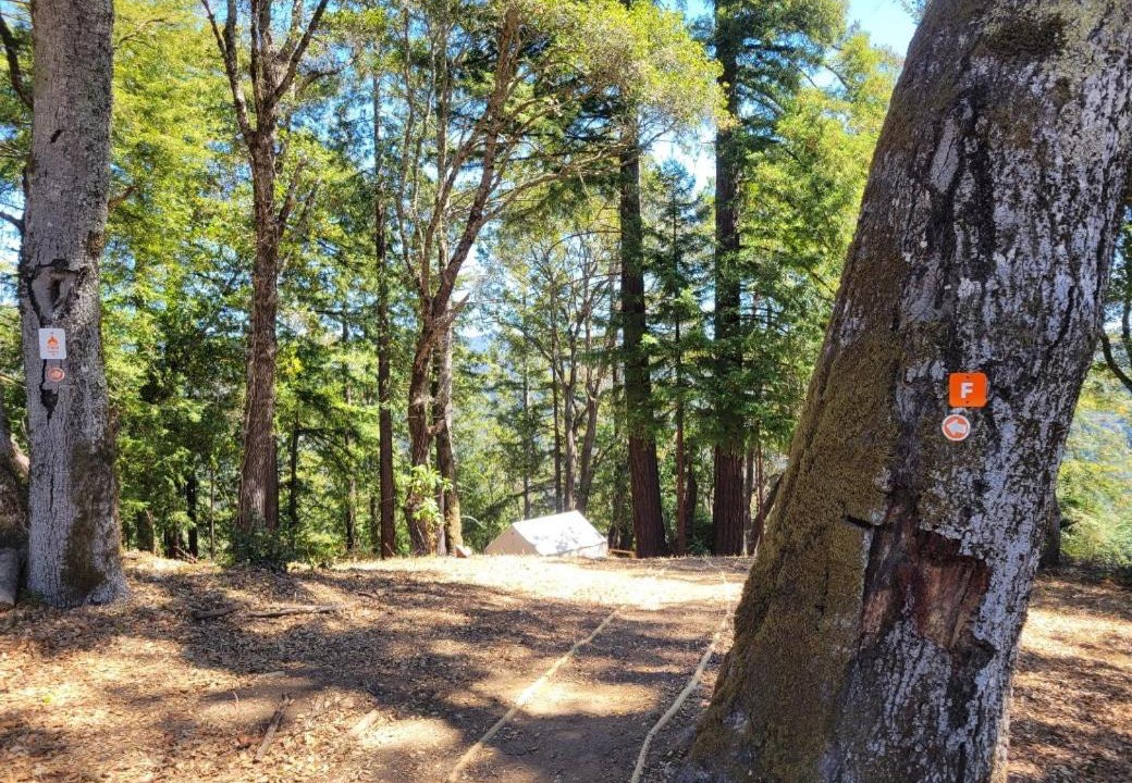 Photo of Others in Soquel