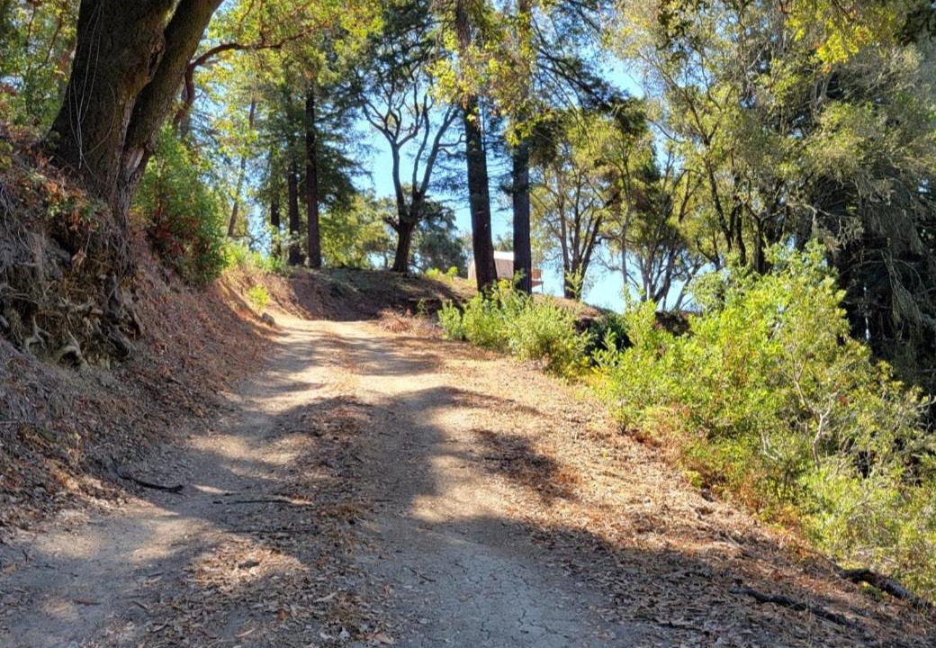 Photo of Outdoor in Soquel