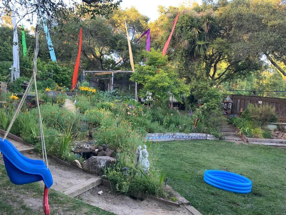 Photo of Outdoor in Santa Cruz