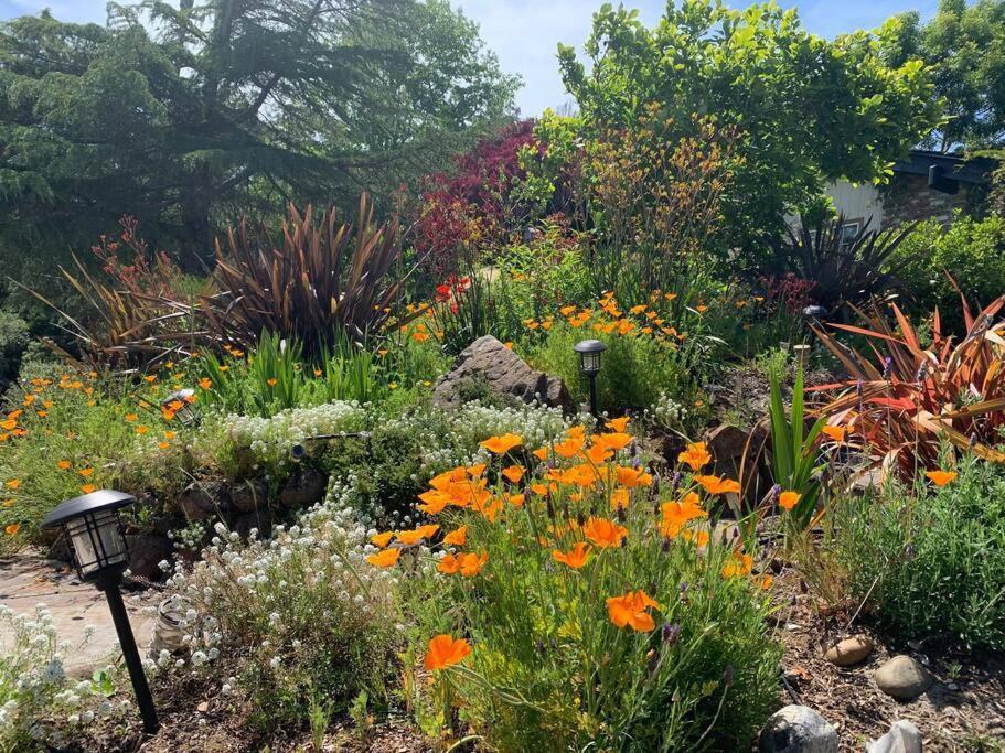 Photo of Outdoor in Santa Cruz