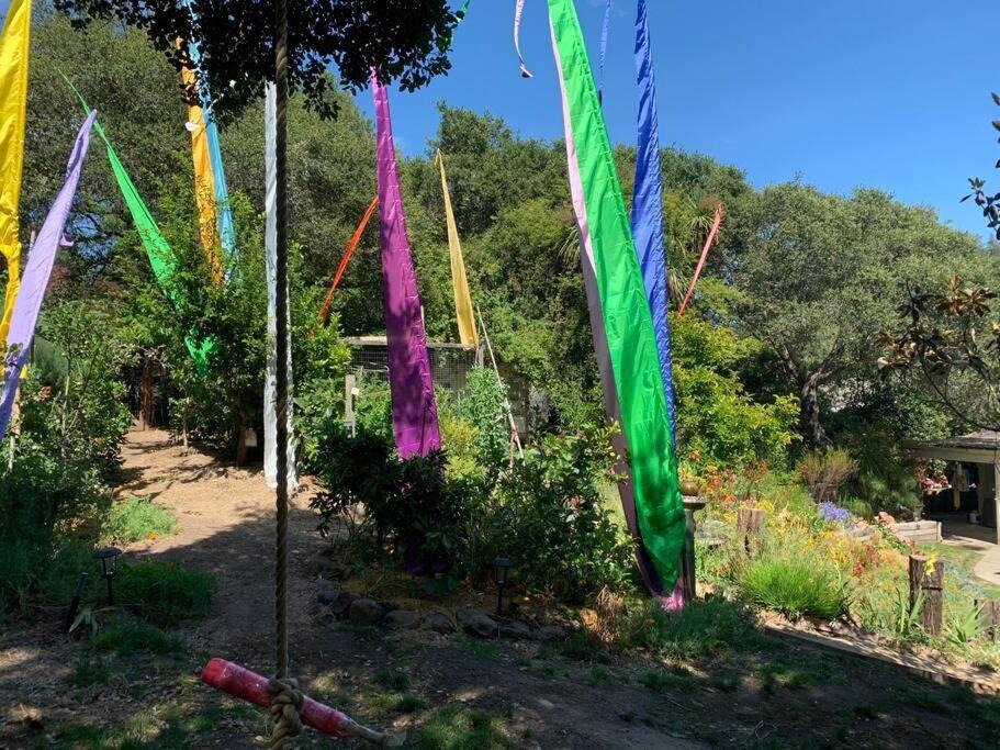Photo of Outdoor in Santa Cruz