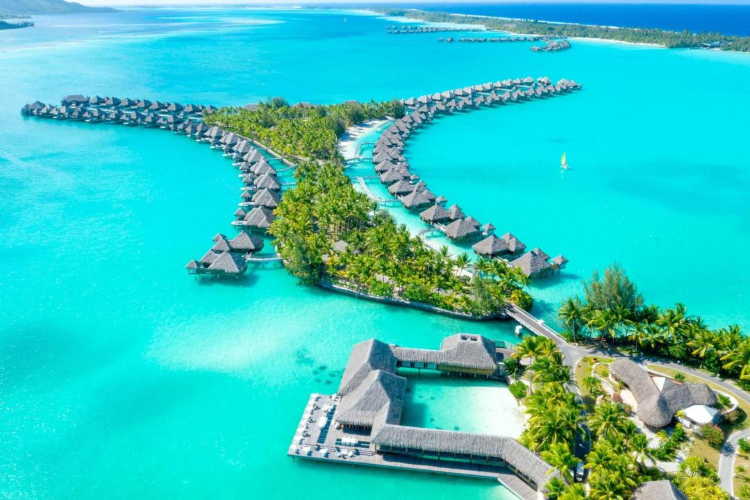 Photo of Others in Bora Bora
