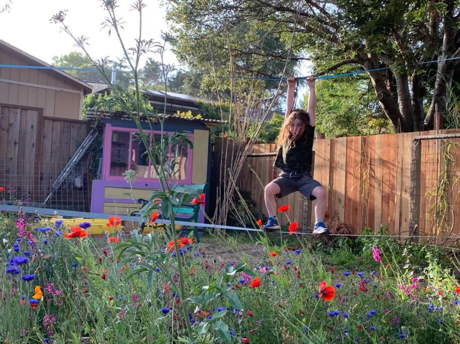 Photo of Others in Eastside Santa Cruz