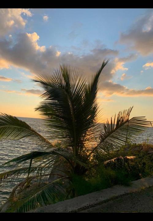 Photo of Others in Anse La Mouche