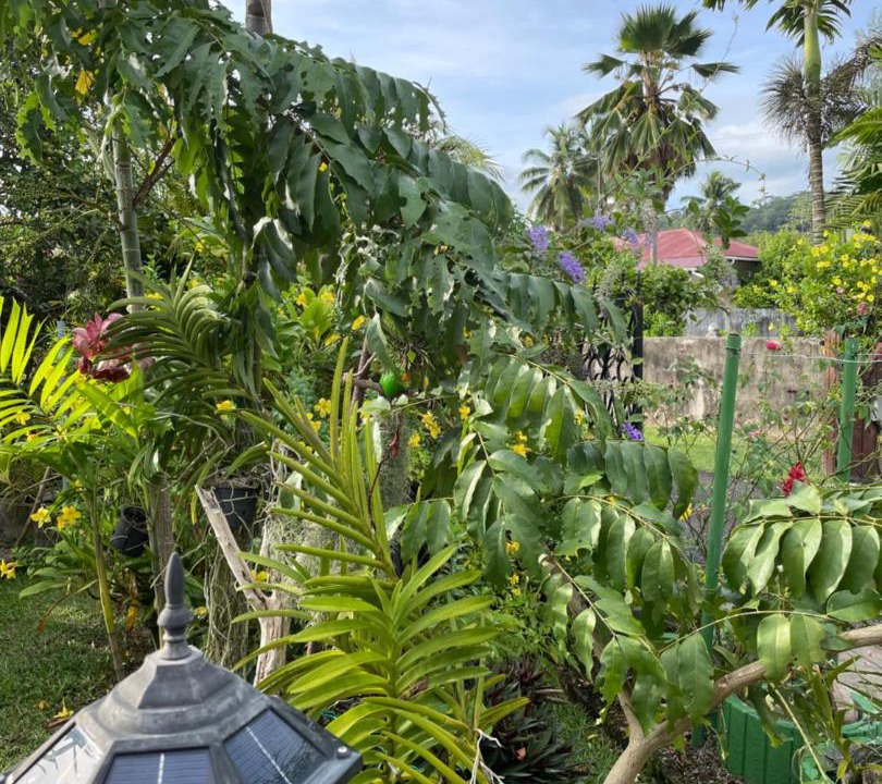 Photo of Others in Anse La Mouche