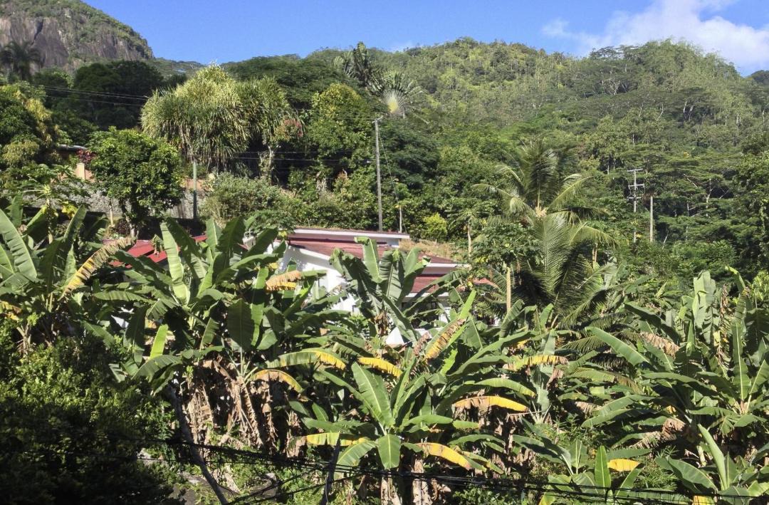 Photo of Others in Mahe Island