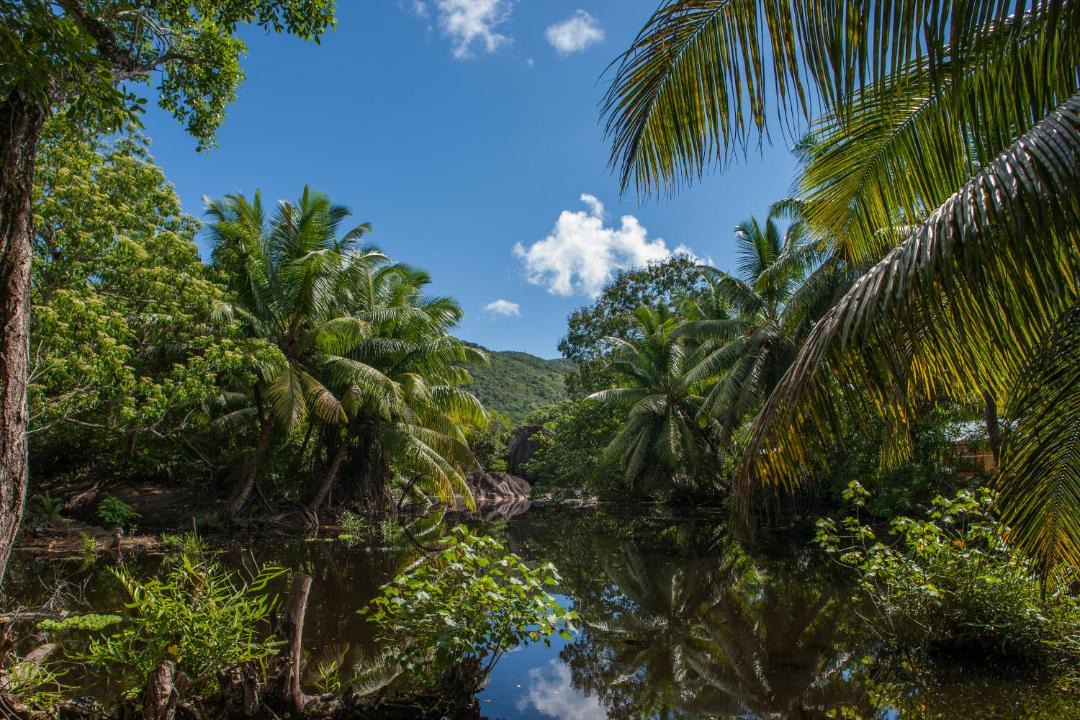 Photo of Others in Grand'Anse Praslin