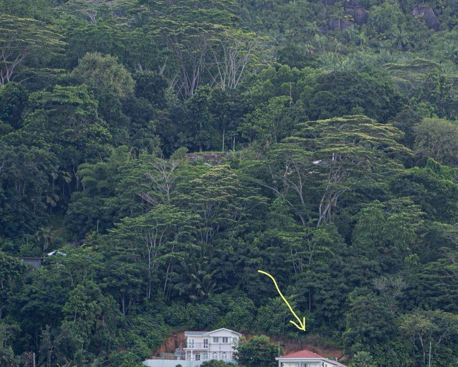 Photo of Others in Anse Royale