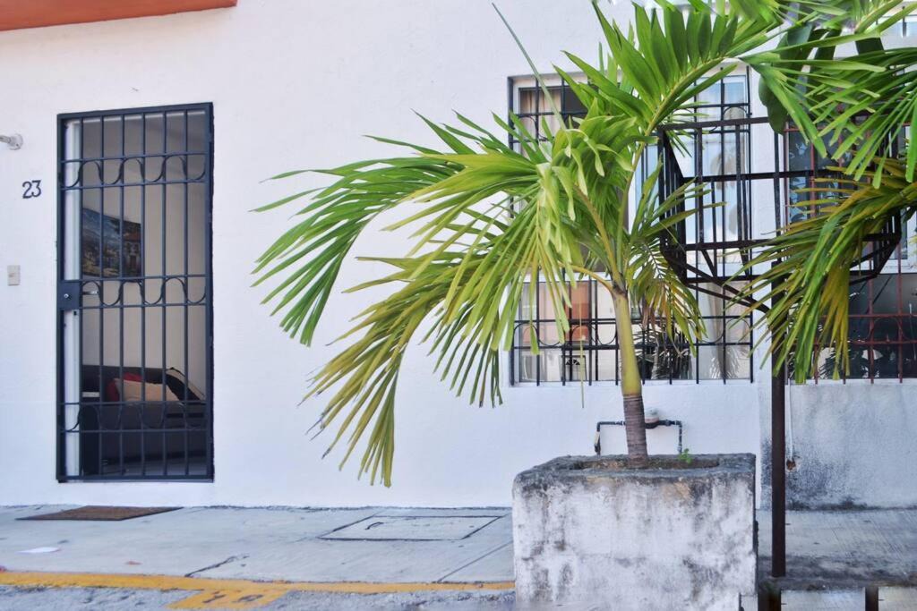 Photo of Buildings in Cancun