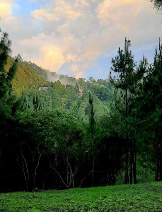 Photo of Others in San Jose del Pacifico