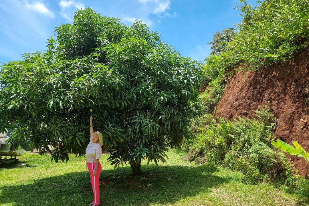 Photo of Outdoor in Anse Volbert Village