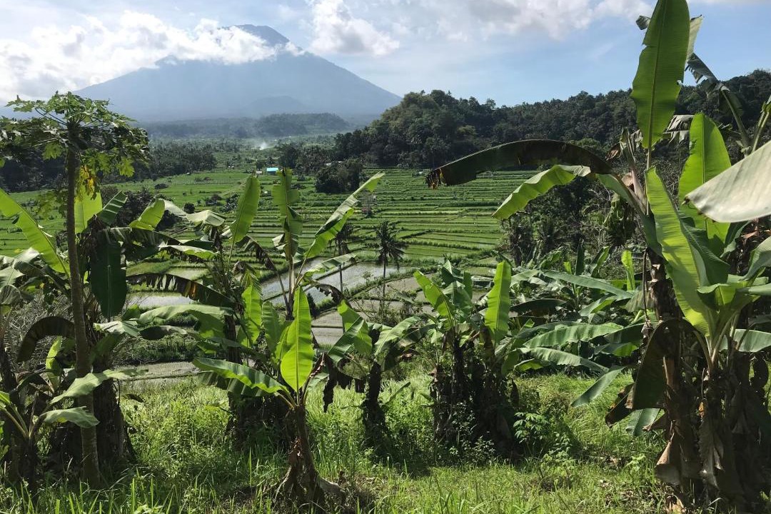 Photo of Outdoor in Tumbu Village